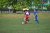 Filename=DSC_8607.jpg
Filesize=1218KB
Dimensions=1501x997
Date added=Apr 30, 2016 DSC_8607.jpg
