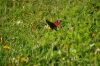 DSC_5384.jpg